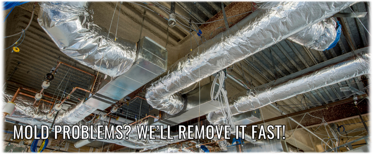 Air Duct Mold Removal in Los Angeles